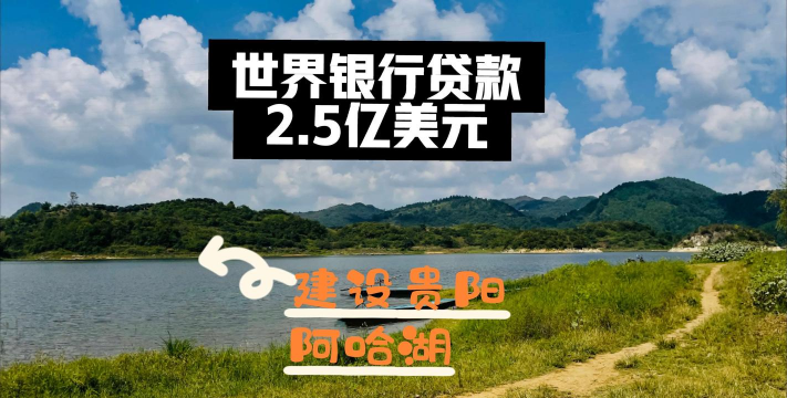 什么是世界银行贷款