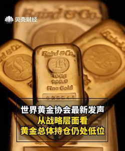 世界黄金协会的概述