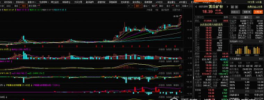 什么是国际储备收益