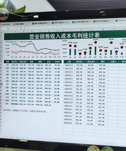 营业收入毛利率是什么