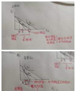 预期收入理论的作用