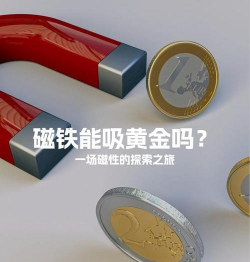 什么金属能够和黄金形成共磁场?