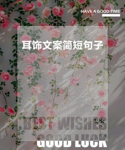 关于耳环的经典句子有哪些？