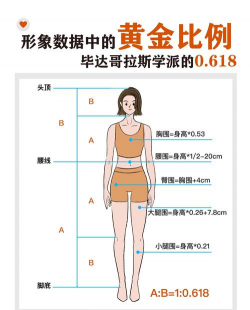黄金比例最接近的比例？