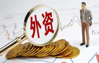 外汇流失是什么意思?