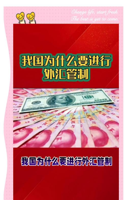 什么是国家外汇?