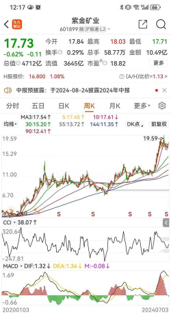 紫金矿业股票今日股价：12月2日收盘下跌1.06%