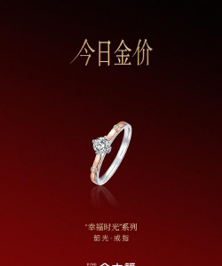 金大福珠宝铂金多少钱一克（2025年12月05日）参考价格