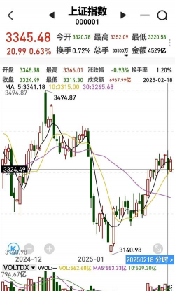 12月4日紫金矿业股票融资净偿还2.13亿元