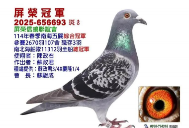 密切关注市场“鹰鸽”信号