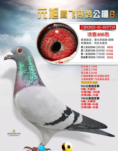 JOLTS数据添鸽派信号沪金获撑960