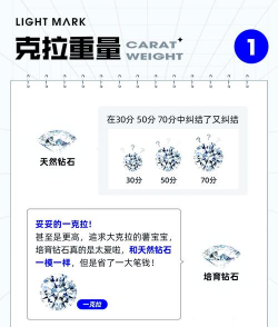 2025年12月12日莱音珠宝铂金最新价格多少钱一克
