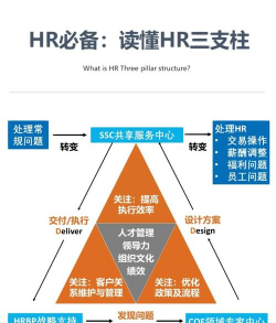 三大中期逻辑支撑